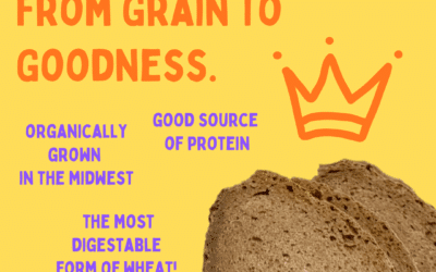 The Most Ancient and Healthiest Wheat on Earth