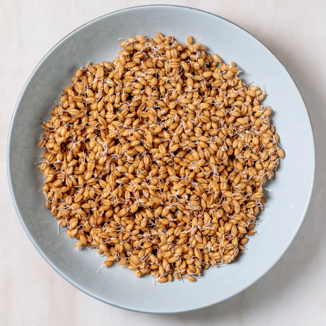 Fully Sprouted Manna Bread 